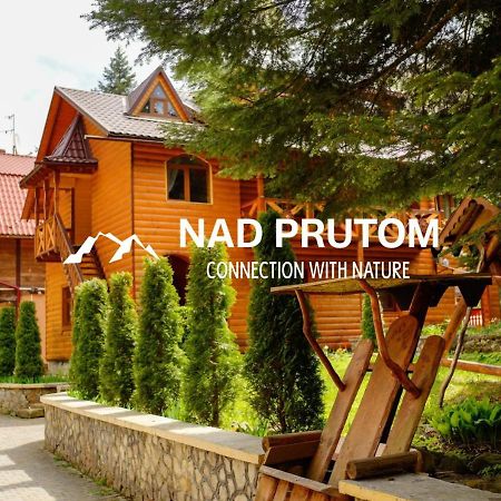 Садиба Nad Prutom Γιαρέμτσε Εξωτερικό φωτογραφία