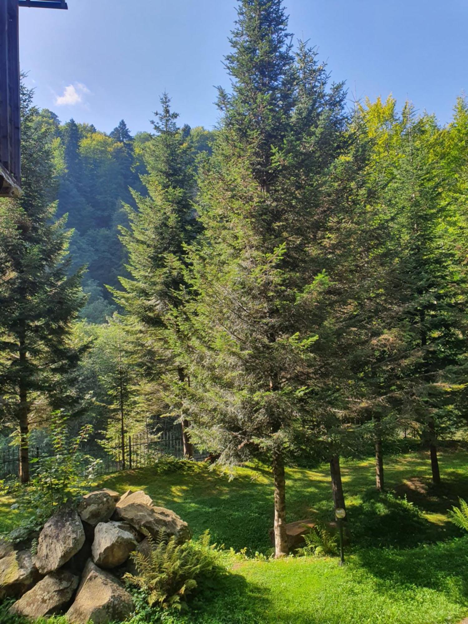Садиба Nad Prutom Γιαρέμτσε Εξωτερικό φωτογραφία