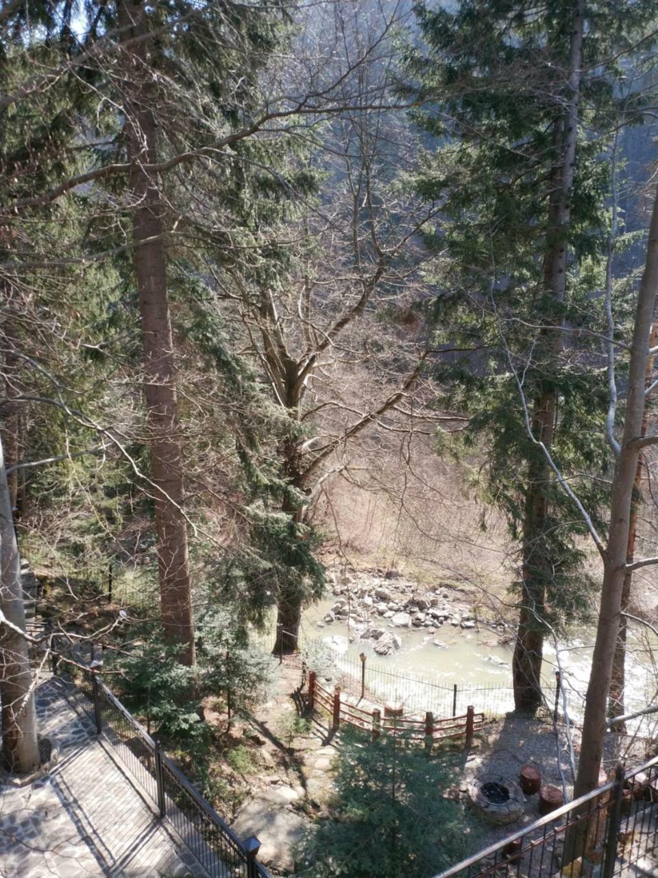 Садиба Nad Prutom Γιαρέμτσε Εξωτερικό φωτογραφία